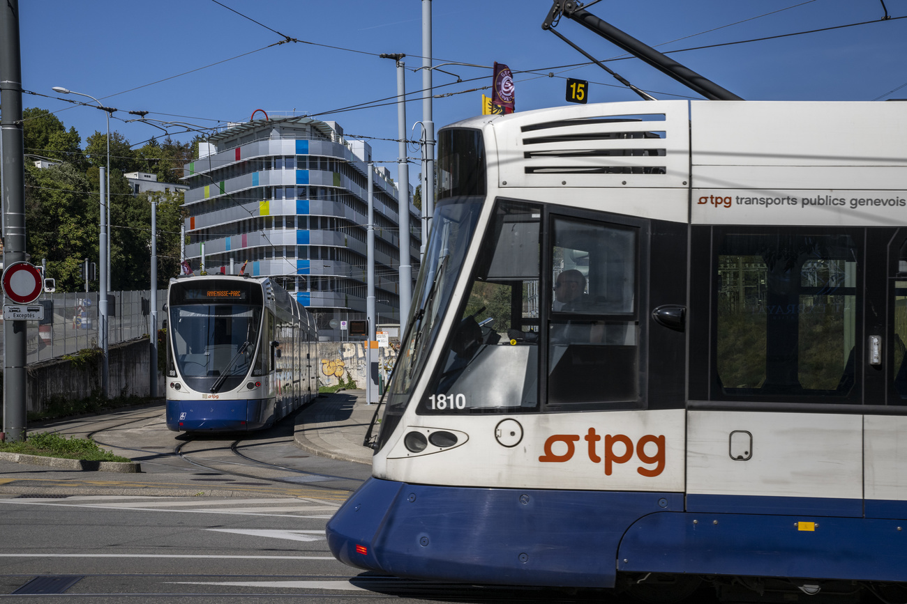 Tram des Transports publics genevois