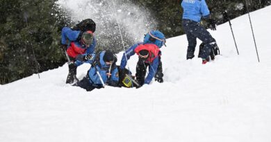 Alpes : Encore un skieur victime d’une avalanche, le septième mort en une semaine