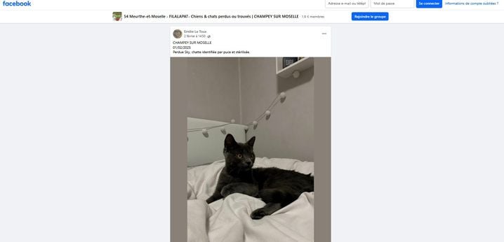 L'annonce postée sur la page Facebook « Filalapat » de Meurte-et-Moselle par Emilie.