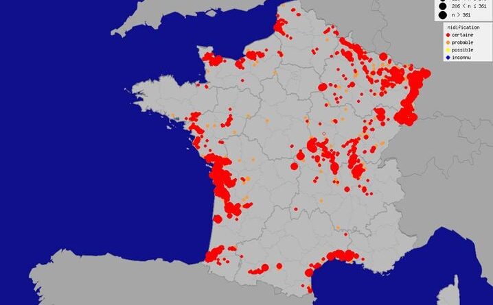 Déjà les beaux jours ? Pourquoi le retour précoce des cigognes n’est pas vraiment une bonne nouvelle