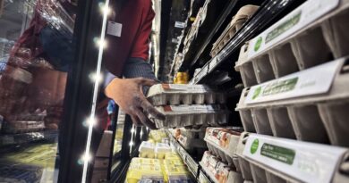 Etats-Unis : L’inflation augmente… Les consommateurs américains frappés par la hausse des coûts