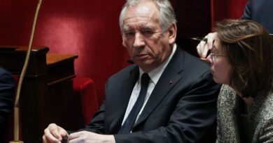 François Bayrou : Après l’épreuve réussie du budget, le risque de « surplace »