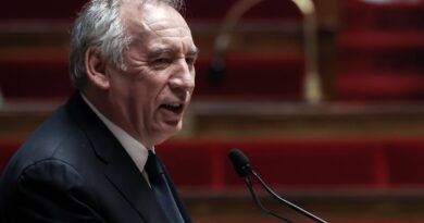 Immigration : « Qu’est-ce qu’être Français ? »… François Bayrou relance le débat sur l’identité nationale