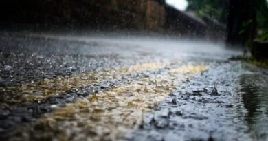 Le temps en Algérie ce lundi 3 février : pluies, orages, neiges… quelle est la météo du jour ?