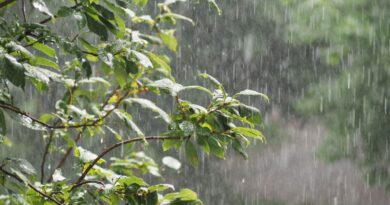 Météo Algérie : alertes pluies et vents violents dans plusieurs wilayas ce mercredi 5 février