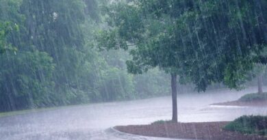 Météo du week-end en Algérie : vents violents, pluies et orages persistants ce vendredi 21 février