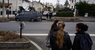 Meurtre de Louise, 11 ans : Harcelée, la famille de la victime demande le respect de son « intimité »