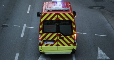 Morbihan : Un bébé de 11 mois meurt après avoir été mordu par le chien de la famille