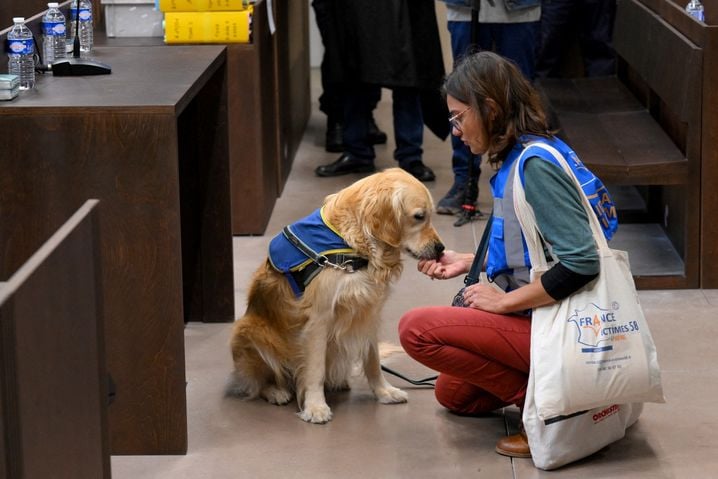 Des chiens d'assistance judiciaire pourront être présents en soutien aux victimes de Joël Le Scouarnec. Comme ici lors du procès du drame de Millas en décembre 2024 à Marseille.