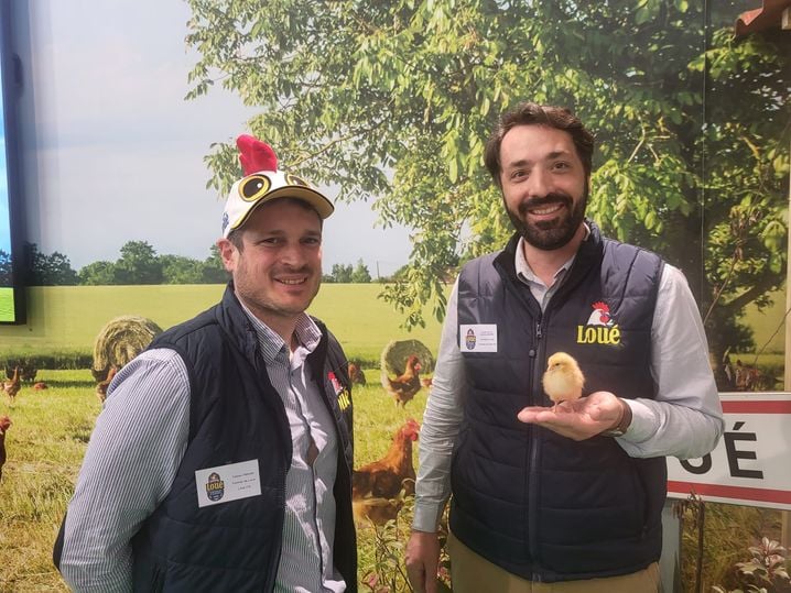 Le poulet du Loué, seule présence de la volaille au Salon de l'Agriculture