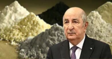 Tebboune refuse leur exploitation… Que savons-nous sur les « terres rares » en Algérie ?