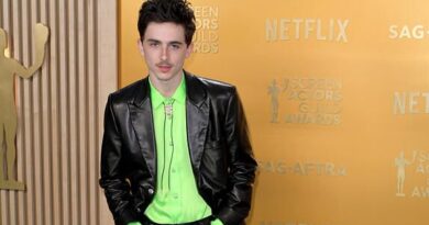 Timothée Chalamet se dit « à la recherche de la grandeur » au cinéma lors d’un discours