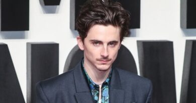 « Wonka », « Dune », « Un Parfait Inconnu »… Timothée Chalamet s’amuse de la diversité de ses rôles