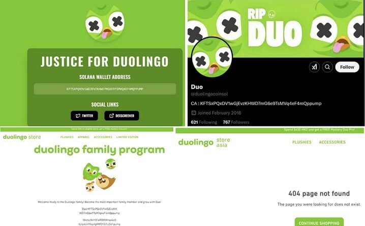 Cybercriminalité : Comment le buzz de la (fausse) mort de la mascotte de Duolingo profite aux arnaqueurs