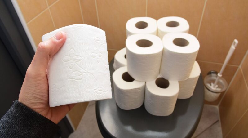 Ecolo ou cracra ? Pourquoi se mettre (ou non) au papier toilette lavable ?