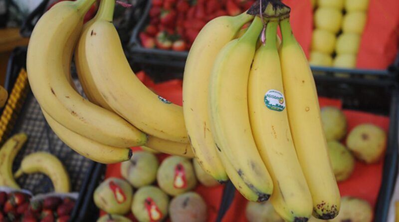 Le prix de la banane passe de 900 DA à 260 DA/kg à partir de ce dimanche