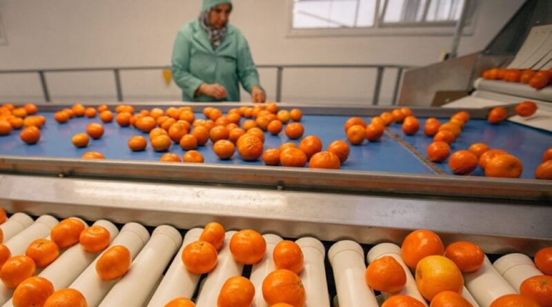 Morocco Foodex prépare une campagne de promotion des agrumes au Japon