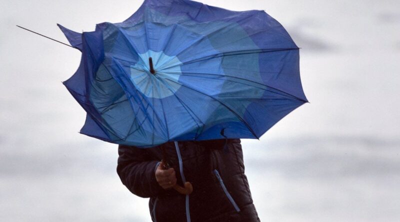 Vents violents, pluies, orages… Voici les prévisions météo en Algérie pour ce début de semaine !