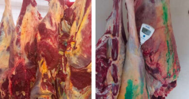 Contrôle à Tunis : saisies de 373 kg d’agneau et 119 infractions