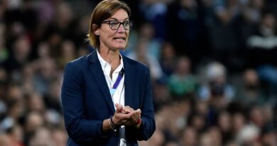 OMÂ : Â«Â Jâutilise mon jokerÂ Â»â¦ Corinne Diacre reste silencieuse sur les Bleues