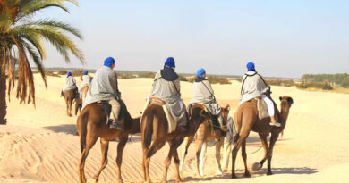 Tozeur : des hôtels fermés rouvrent pour la saison hivernale