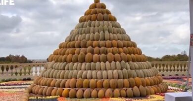 Vladimir Poutine : Improbables cadeaux d'anniversaire reçus au fil des ans