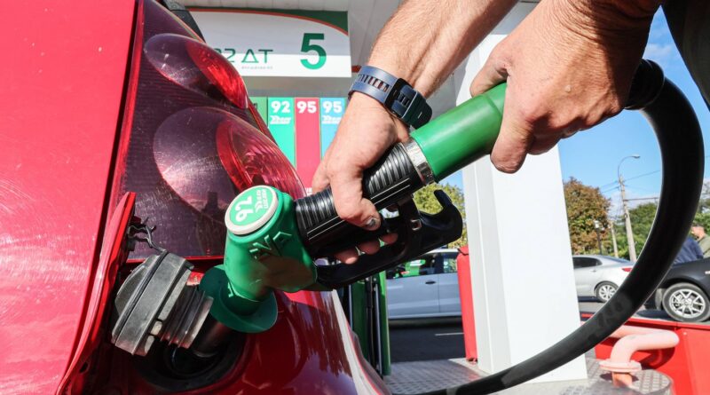 Voiture électrique : « Revenir au bon sens » pour conserver votre thermique en 2035 ?