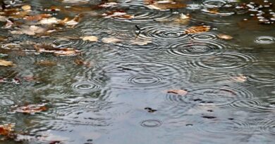Alerte orange pluie-inondation pour trois départements du Sud-Ouest