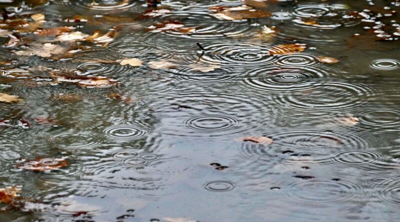 Alerte orange pluie-inondation pour trois départements du Sud-Ouest
