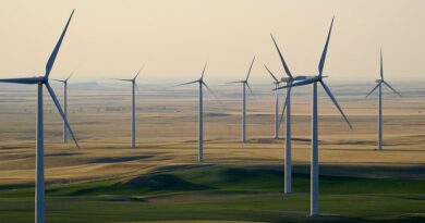 Bizerte : un projet éolien de 75 MW pour la transition énergétique