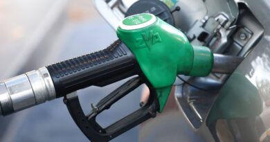 Budget 2026 : Niche fiscale et bilan environnemental des biocarburants B100 et E85