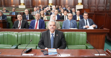 Budget du ministère de la jeunesse et des sports : un sport efficient