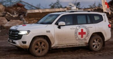 Cessez-le-feu à Gaza : l'un des trois derniers otages retrouvé, d'après le Jihad islamique