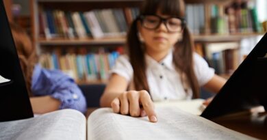 ChatGPT fête ses trois ans : qui sont les "végans de l'IA" ?