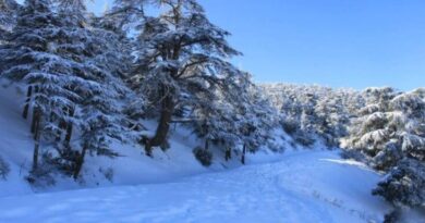 Chutes de neige sur les hauts de l'Ouest tunisien et l'est algérien