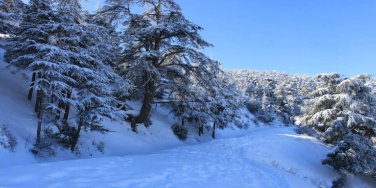 Chutes de neige sur les hauts de l'Ouest tunisien et l'est algérien