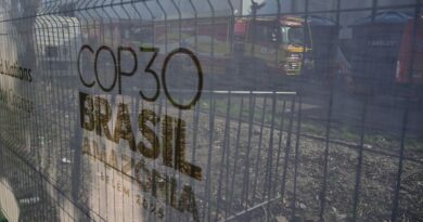 COP30 : un texte sans feuille de route sur les énergies fossiles présenté par la présidence