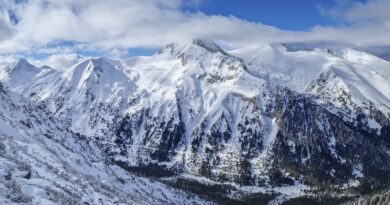 Disparu en 2008, il vivait en réserve naturelle après sa mort déclarée.
