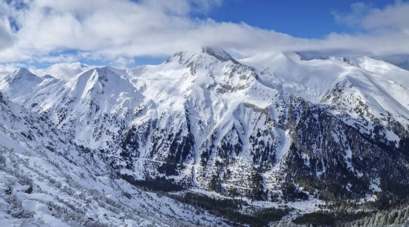 Disparu en 2008, il vivait en réserve naturelle après sa mort déclarée.
