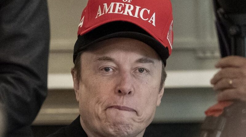 Elon Musk réagit aux insultes de Billie Eilish sur son intelligence.