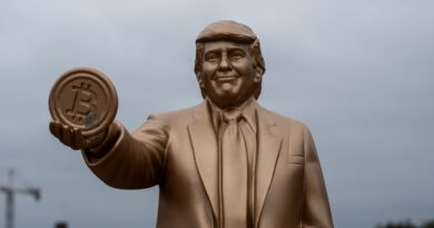 Etats-Unis : La fortune de Trump ne va-t-elle pas chuter avec le bitcoin ?