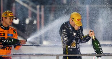 Formule 1 : La fin de saison relancée après disqualification des McLaren ?