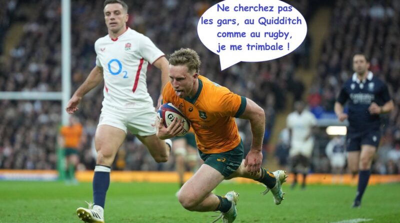 France - Australie : « Tu es un Wallaby, Harry »… l'homonyme le plus classe au monde