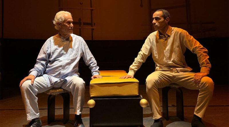 « Houma, Testostérone » : Un spectacle unique de Cyrine Gannoun au Théâtre El Hamra