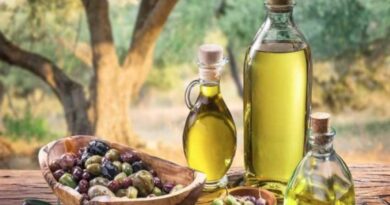 Huile d'olive : la Tunisie prépare une stratégie 2026 pour de nouveaux marchés