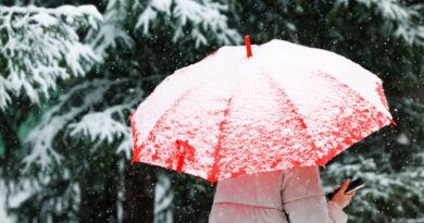 Ile-de-France : La neige recouvre Paris et sa région, malgré la fonte imminente