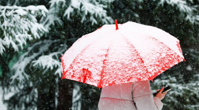 Ile-de-France : La neige recouvre Paris et sa région, malgré la fonte imminente