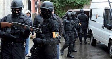 Interpellation d'un membre de l'organisation "Daech"