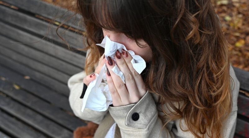 La grippe saisonnière ne fait pas encore son retour en France.