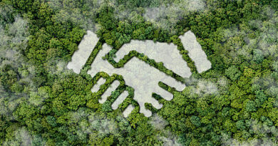 Le Master en Business Administration offre une spécialisation en management durable.